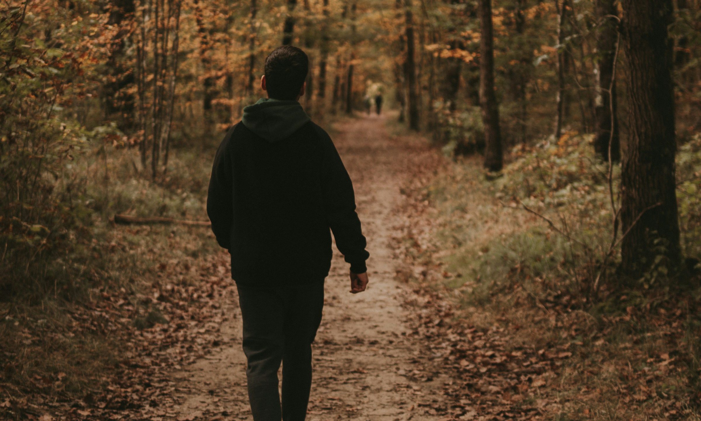 Walking through forest environment